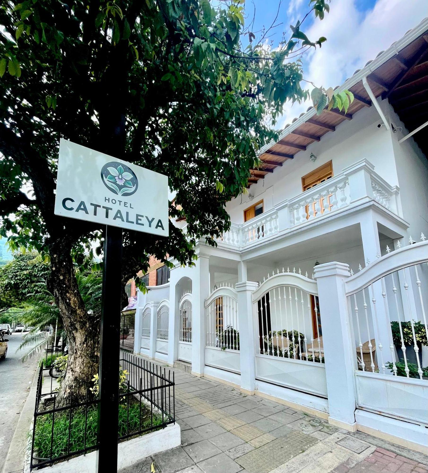 Hotel Cattaleya City Кали Экстерьер фото
